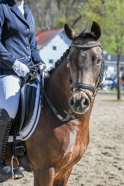 生辉的女性 生辉的女性