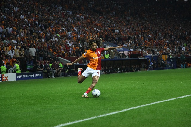 不仅改变了 不仅改变了