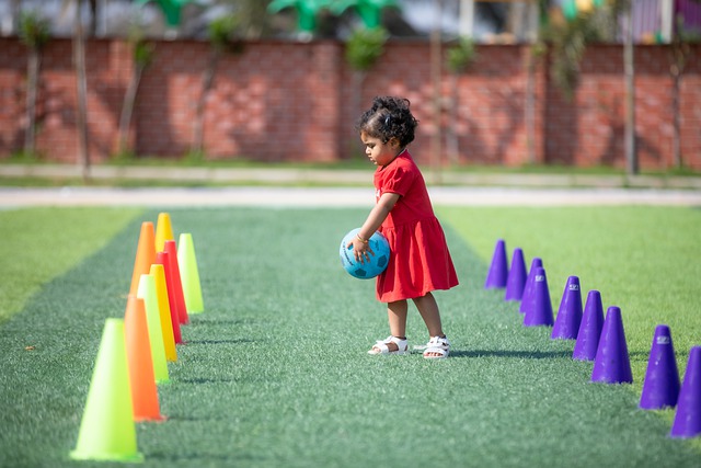 不仅是自然 不仅是自然