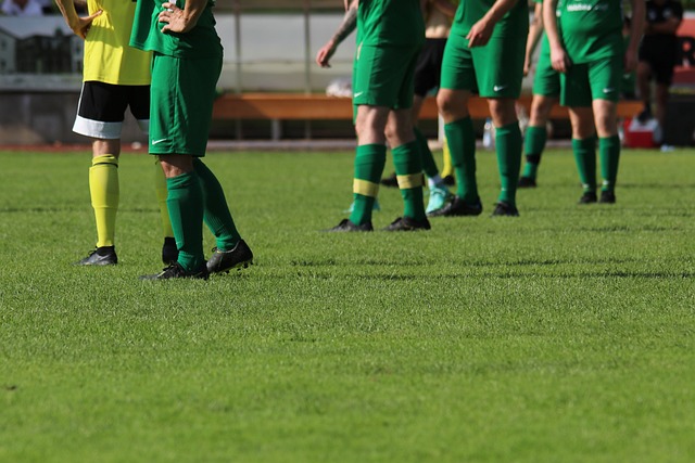 中得到体现 中得到体现