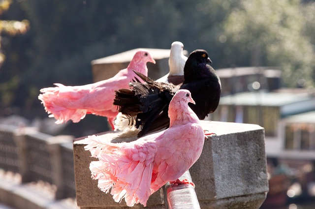 这场比赛的 这场比赛的