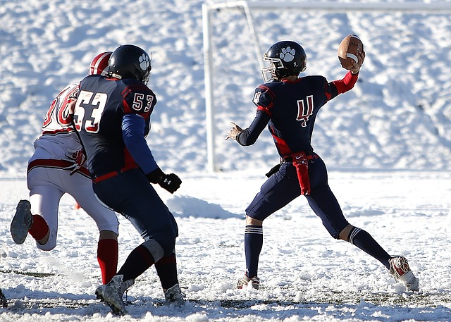 从而为石家 从而为石家