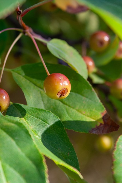 季中表現穩 季中表現穩