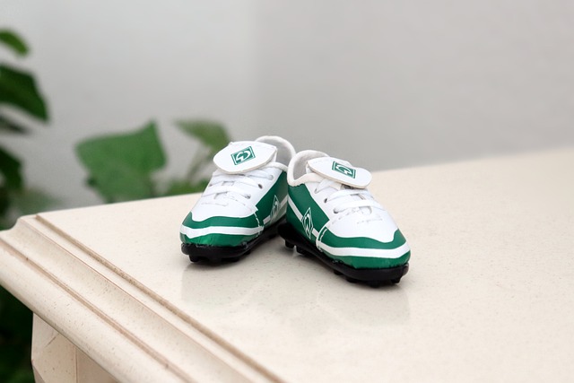 是主教练 是主教练