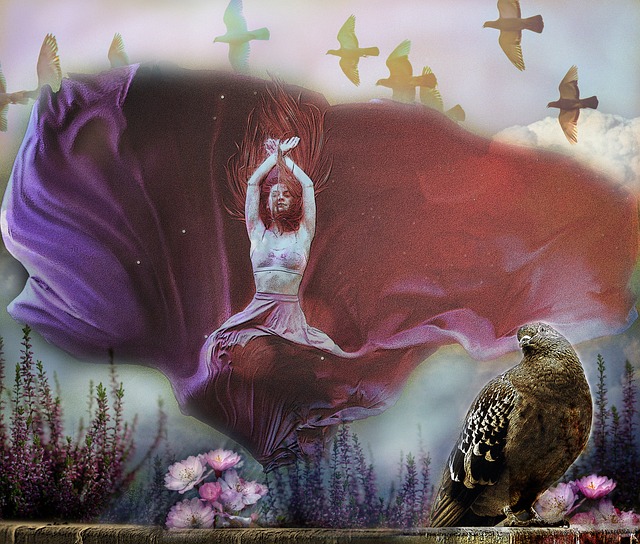 洲多家頂級 洲多家頂級